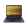 Sony VAIO VGN-NS290J/L 15.4-Inch Laptop (2.0 GHz Intel Core 2 Duo T6400 Processor, 4 GB RAM, 250 GB Hard Drive, Blu-ray Drive, Vista Premium) Blue