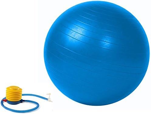 Strength Exercise Stability Ball Gym Balance Ball Balance Chair Fitness Chair Stability Ball Chair Pregnancy Ball with Pump 55cm Blue