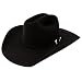 Resistol Mens 20X Gold 4 1/4 Brim Open Crown Felt Cowboy Hat 71/8 Black