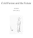 Cold Fusion and the Future