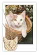 Custom Pet Charm & Chain - Create a One-Of-A-Kind 3D Custom Necklace of Your Pet From Your Favorite Photo - 14K Yellow Gold 3-D Photo Charm Pendant With Bail Hung on an 18" Chain.