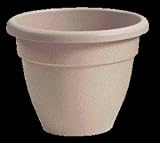 20 SANDSTONE CARIBBEAN POT