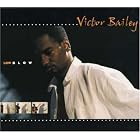 Low Blow by  Victor Bailey 