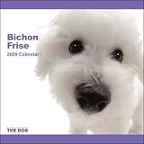 Bichon Frise 2009 Calendar