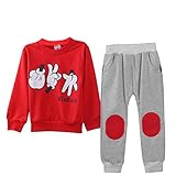 Ochine　子供　男の子　スウェット セット アップ 男の子 ベビー 長袖　レジャー　子供服 スポーツ　春　秋　冬　2色選べる (120、4-5歳, レッド)