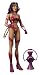 DC Universe Classics Wonder Woman Violet Lantern Collectible Figure