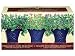French Herb Garden