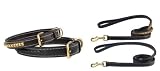 COLLAR & LEAD SET - LARGE - 18-22 - Olympus Leather Studded Collar