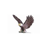 Wings Spread Bald Eagle, 2.67