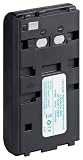 Tecxus Ersatzakku f&uuml;r Sony NP-55, NP-66, NP-68, NP-77, NP-98, NP99 (2100mAh)