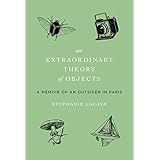an extraordinary theory of objects a memoir of an outsider in paris
