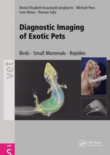 Diagnostic Imaging of Exotic Pets: Birds, Small Mammals, Reptiles (Vet S) by Maria Elisabeth Krautwald-Junghanns (15-Nov-2010) Hardcover