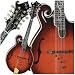 Legacy Dragonfly Flame F-Style Mandolin
