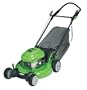 Lawn-Boy Insight Series Self-Propelled Mower with Electric Start - 6.5 HP, Model# 10686