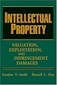 Intellectual Property: Valuation, Exploitation, and Infringement Damages
