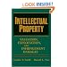 Intellectual Property: Valuation, Exploitation, and Infringement Damages