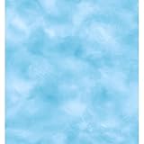 York Wallcoverings ZB3344SMP Boys Will Be Boys II Water 8-Inch x 10-Inch Memo Sample Wallpaper, Medi
