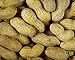 peanut butter flavor powder - 2.8 oz