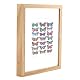 Butterflies by John Dilnot (Framed Print)