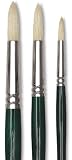 Winton Round Fine Hog Brush, Size 10