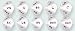 Set of 5 Dice - 10 Sided polyhedral - Word Japanese Numbers