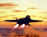 US Navy F-14D 