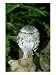 Tawny Frogmouth on Log, Australia Art Photographic Poster Print by Eric Woods, 24x32