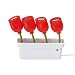 Du hast etwas gegen langweiliges Einerlei auf dem Schreibtisch? Dann ist dieses kultige USB-Hub 
genau richtig f�r dich, denn mit seinem coolen Design ist es alles andere als langweilig. Und gie�en 
brauchst du die Blumen nicht!Das Hub ist aus hochwertigem Kunststoff gefertigt und l�sst sich an 
jeden freien USB-Port anschlie�en. Mit seiner 2.0 Schnittstelle garantiert es h�chste 
Geschwindigkeit, sofern es an einen entsprechenden 2.0 Port deines PC oder Mac angeschlossen ist. 
Der Betrieb wird mit einer kleinen roten LED angezeigt. Das Anschlusskabel ist ca. 150cm lang, die 
einzelnen Tulpen sind biegsam! Ein super Eyecatcher f�r deinen Schreibtisch und dank seiner 
kompakten Gr��e auch prima f�r unterwegs!
Gr��e ca. 7,5 x 7,5 x 1,5cm.
Plug & Play f�hig, geeignet 
f�r Windows XP / Vista und Mac OS X.