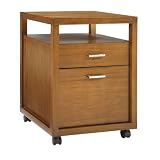 Pinzon Hayes Rolling File Cabinet