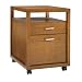Office Products : Pinzon Hayes Rolling File Cabinet