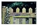 Wooden Gate with Ivy (Hedera) December Architecture Photographic Poster Print by Andre Jordan, 24x18