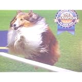 Junior Series Dog Agility Pole Jump by AKC