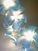 Blue Frangipani Flower Party String Lights (20/set)