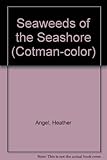 Seaweeds of the seashore