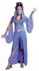 Dreamy Genie Costume - Adult Costume Standard