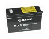 Razor Battery for E200/E300 Electric Scooters