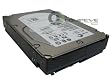 Seagate Cheetah T10 - ST3300555SS 300GB SAS 15K Hard Drive HT954 - ST3300555SS (HT954)