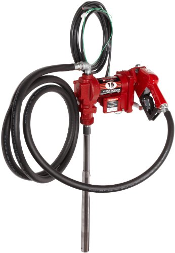 Fill-Rite FR1210CA 12 Volt Transfer Pump With Auto Nozzle