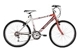 Mens Bike - M40 24 in Mountain Bicycle