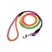 Coolrunner Pet Dog Whisperer Cesar Slip Training Leash Lead Collar (Rainbow)
