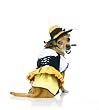 Sexy Kandy Korn Witch Pet Dog/Cat Halloween Costume