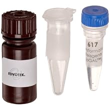 Edvotek 617 Transformation Reagents