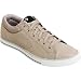 Converse Star Player S XLT Skate Shoe - Men's White, 9.0