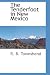 The Tenderfoot in New Mexico