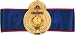 Sporting Goods : Old School Title Belt