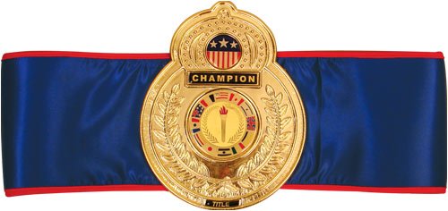 Childrens Toyshop  Sporting Goods : Old School Title Belt