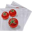 Tomato Design Print Cocktail Napkins, Pack of 20