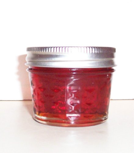 4oz All Natural RED Palm OIL Vitamins Parrots/Birds Feathers