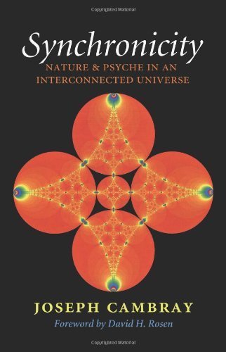 Synchronicity: Nature and Psyche in an Interconnected Universe (Carolyn and Ernest Fay Series in Analytical Psychology) by Cambray, Joseph (2012) Paperback