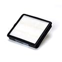 FilterStream H-100 DirtTamer HEPA Filter With 1 Year Filter Life